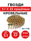 DPN 3.1x22 NK RING (CRN 31/22) DPN 3.1x22 NK RING (CRN 31/22)